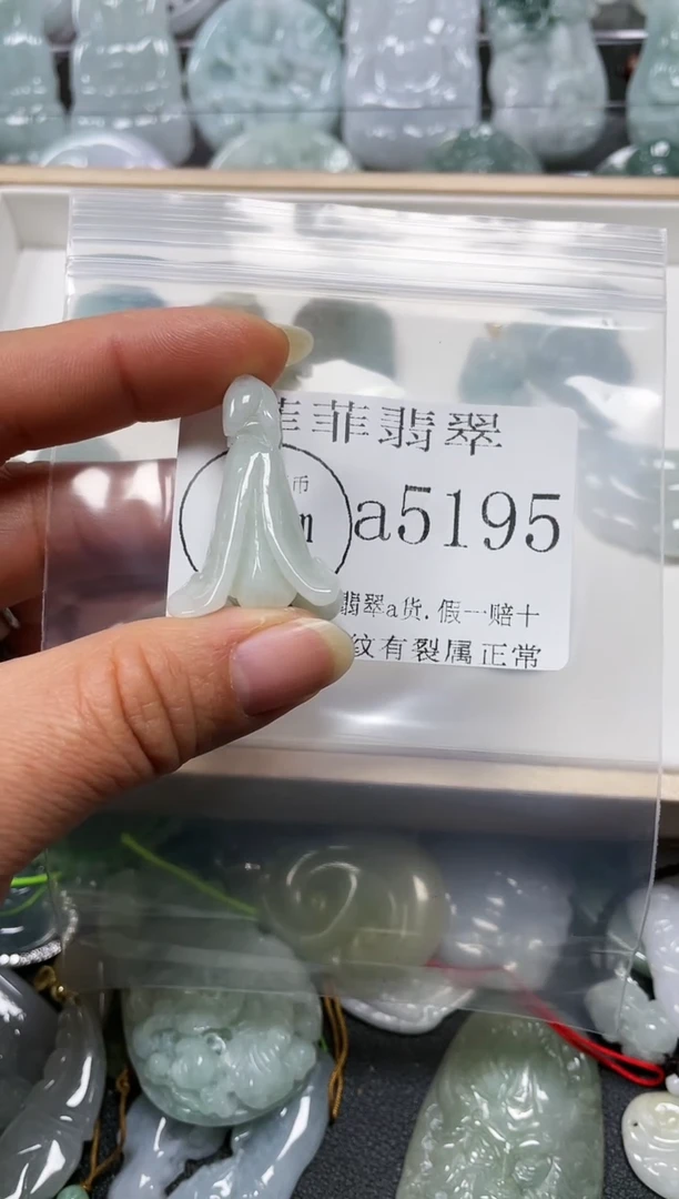 【闪购商品】翡翠颈饰未镶嵌闪购5159