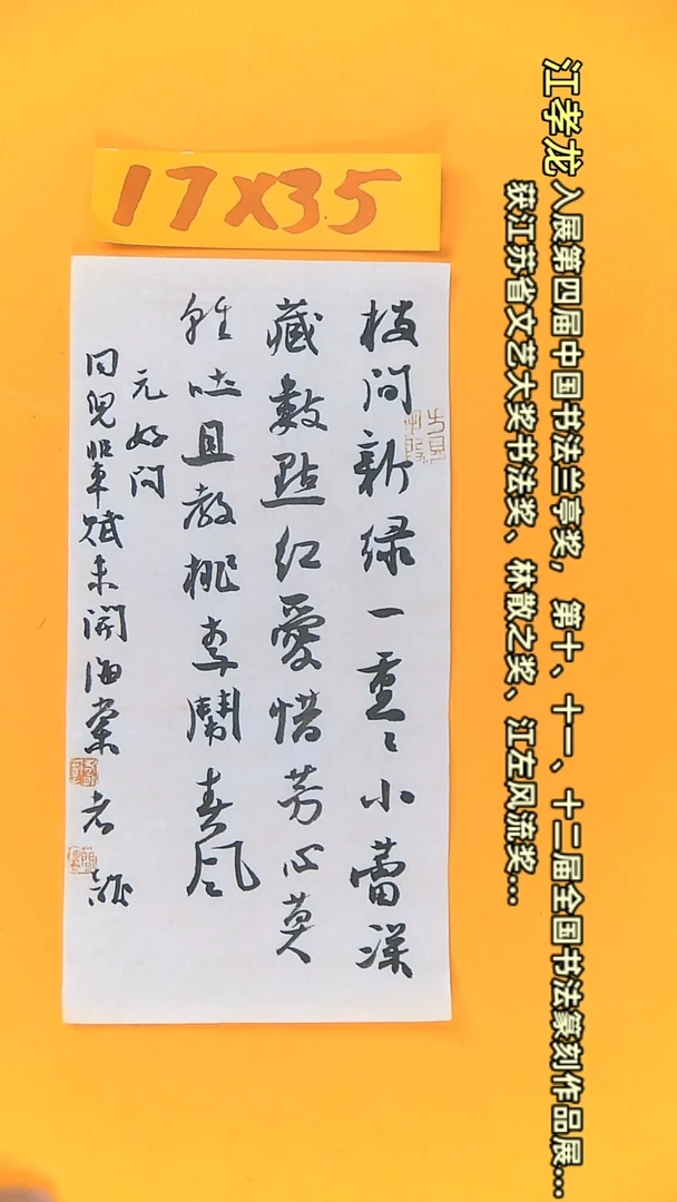 【闪购商品】书法江孝龙书法获奖同款字体好问17*35