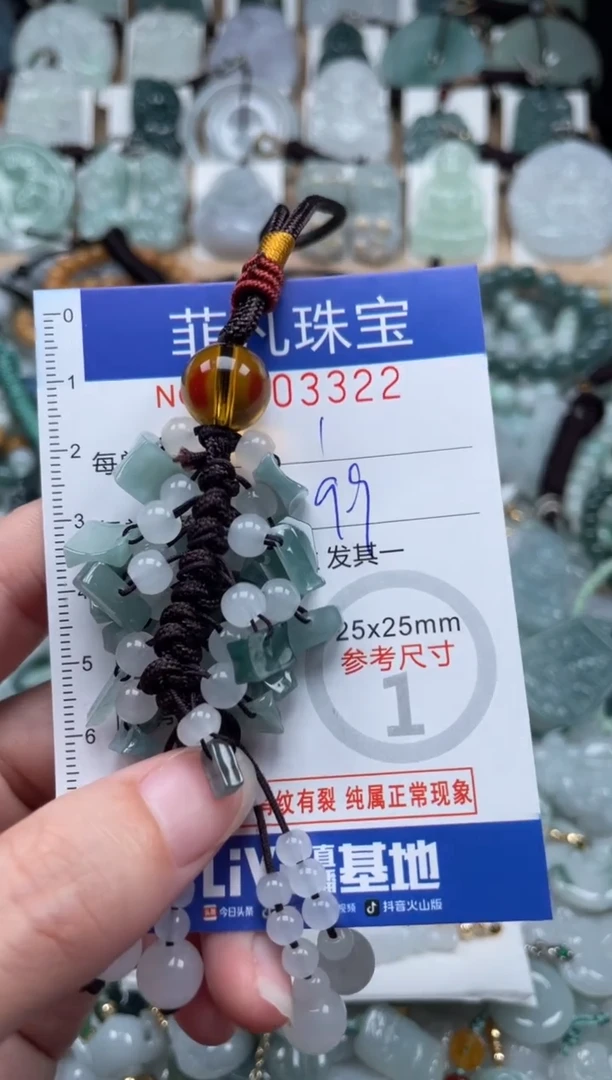 翡翠未镶嵌颈饰00..3322