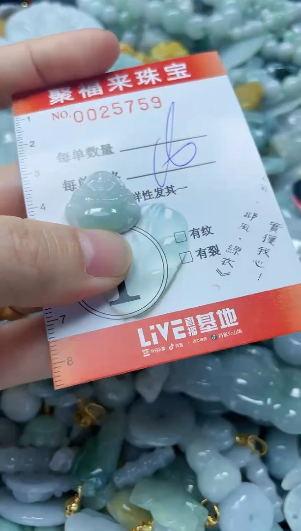 【闪购商品】翡翠颈饰未镶嵌闪购0025759