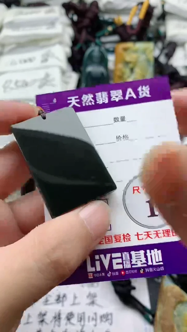 颈饰未镶嵌和田玉（墨玉）888