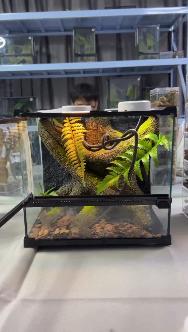 玻璃【长30宽25高27】爬宠造景缸睫角守宫树栖蜘蛛饲养箱爬宠爬虫缸