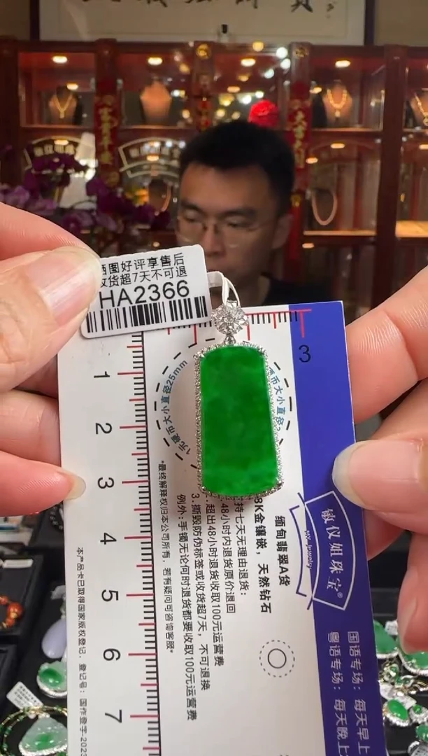 【闪购商品】翡翠颈饰18K金镶嵌HA2366 冰辣绿无事牌