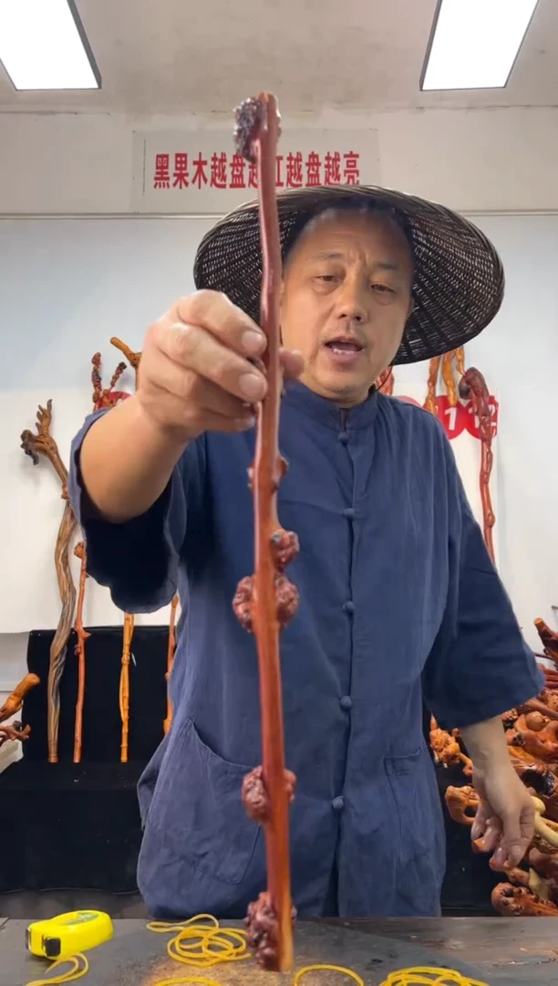 黑果木其他黑果木773