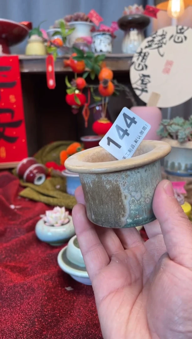 【闪购商品】摆件144知木小芳花盆