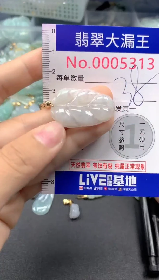 颈饰未镶嵌翡翠5313