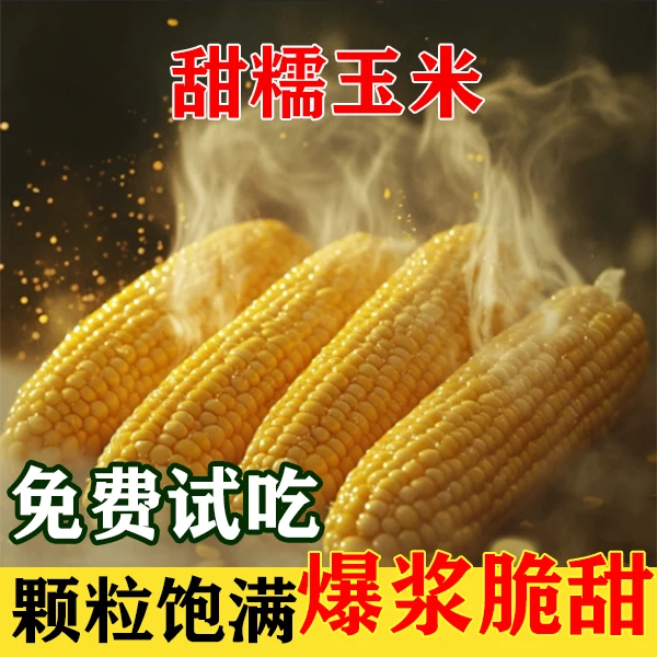 水果甜糯玉米真空包装粗粮轻主食低脂代餐熟玉米5.5斤-6斤9根