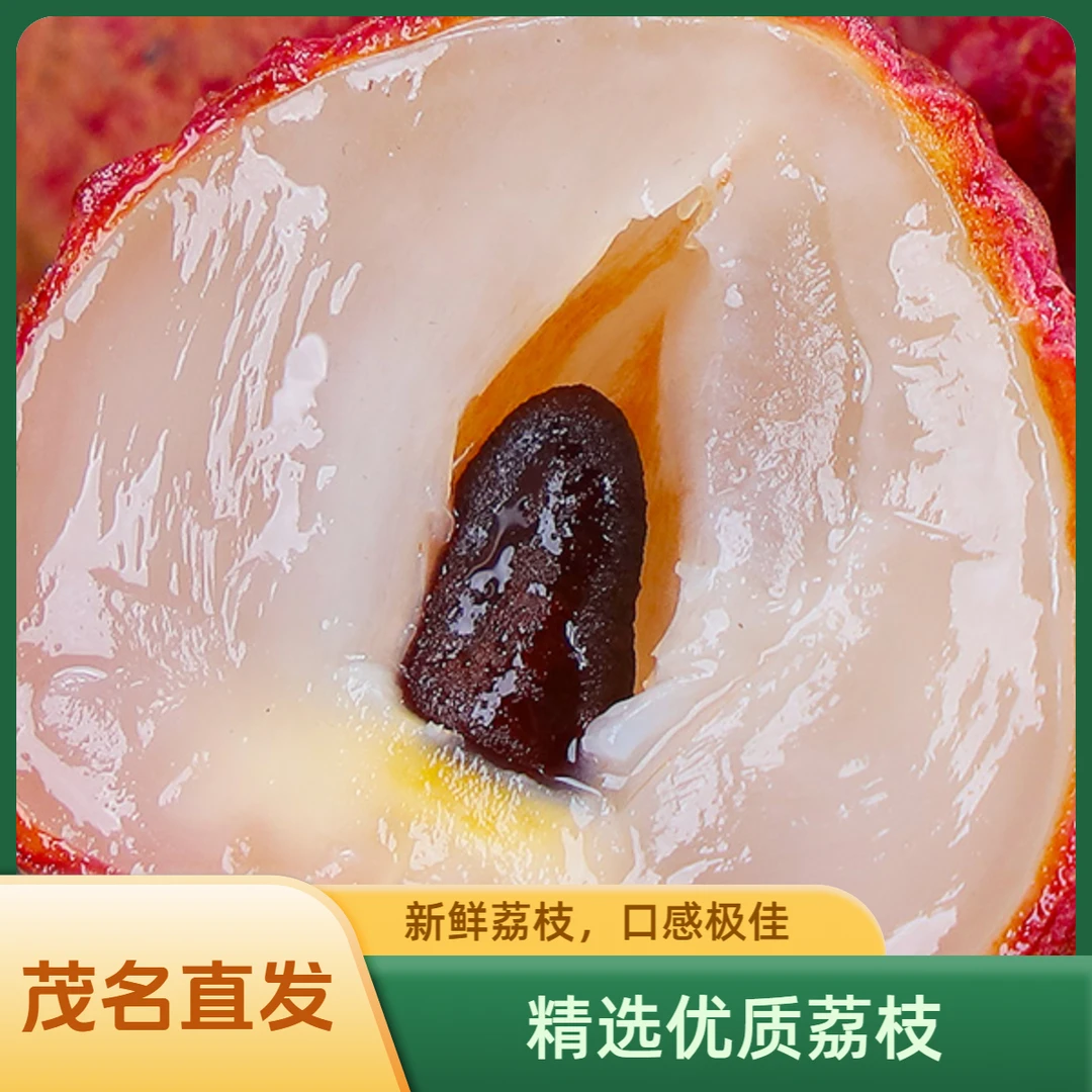 茂名高州直发鲜南果荔枝【白糖罂】新鲜夏季水果老树荔枝果园直发