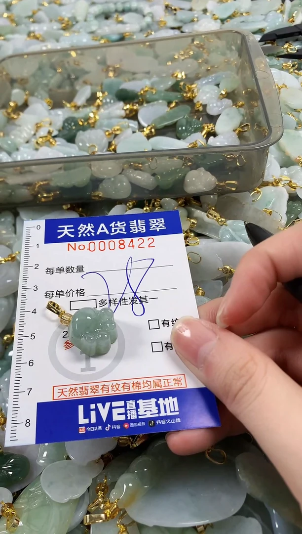 颈饰未镶嵌翡翠天然a货翡翠