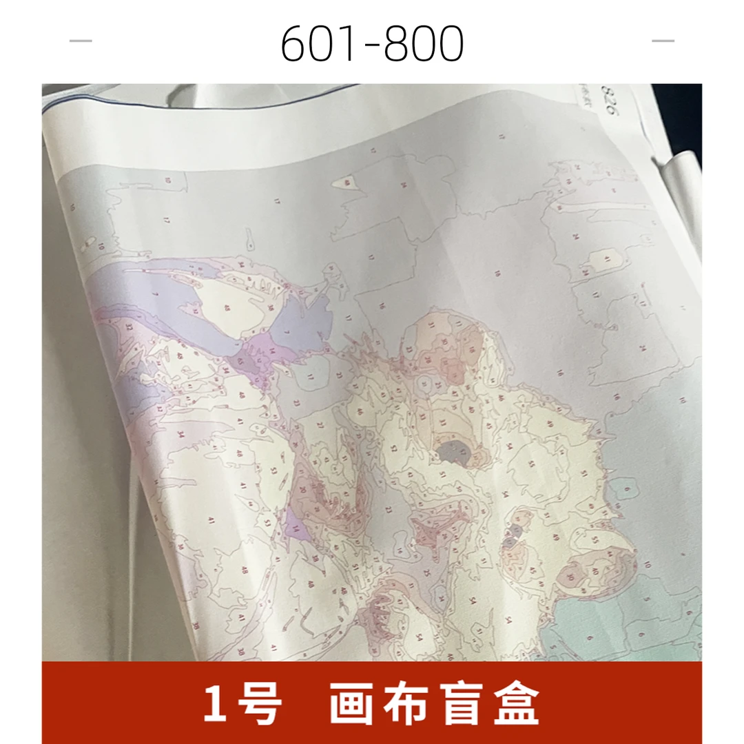 直播（酒后糊力画布中尺寸4601-4800）diy数字油画