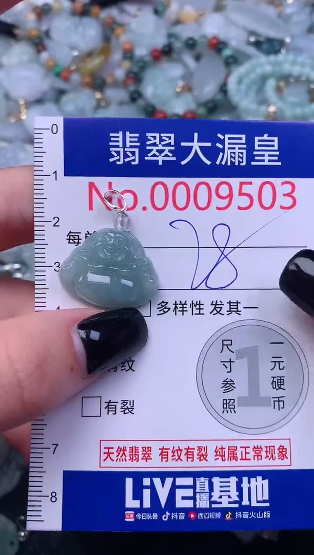 颈饰未镶嵌翡翠9503