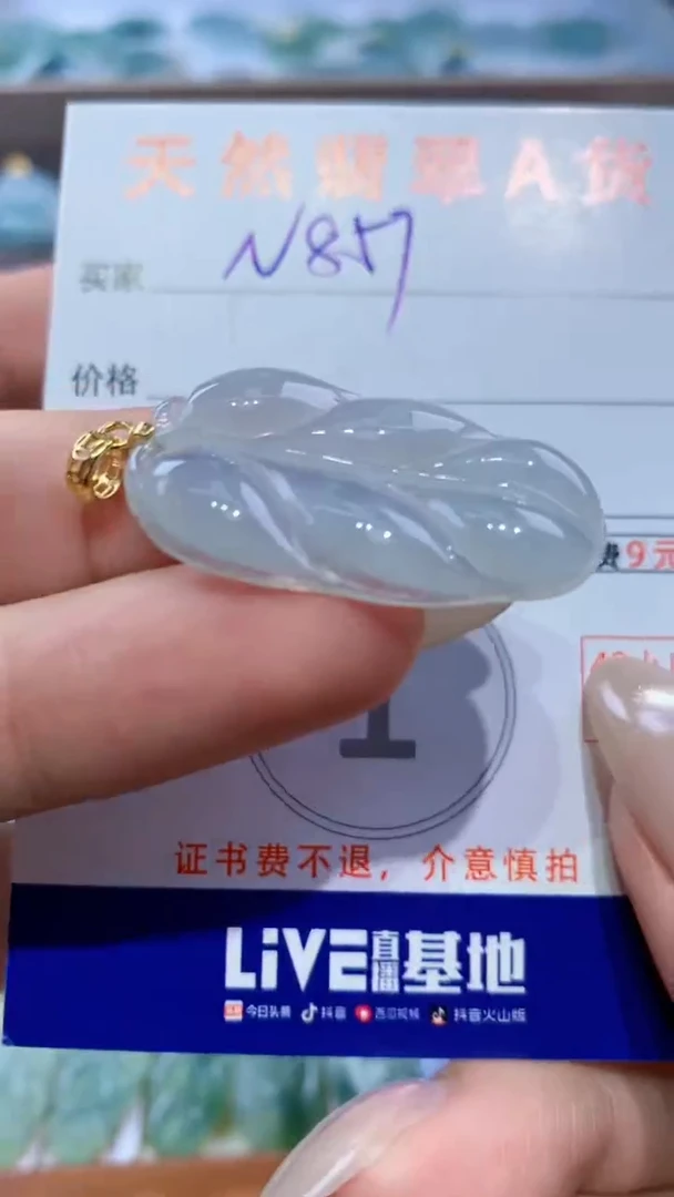 颈饰未镶嵌翡翠天然翡翠A货挂件