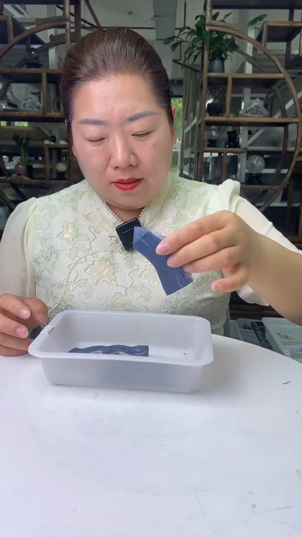 硅化珊瑚（珊瑚玉）原石未镶嵌珊 瑚玉D368多样性发其一