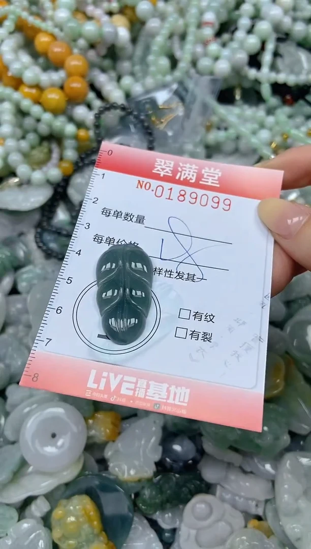 颈饰未镶嵌翡翠闪购0189099