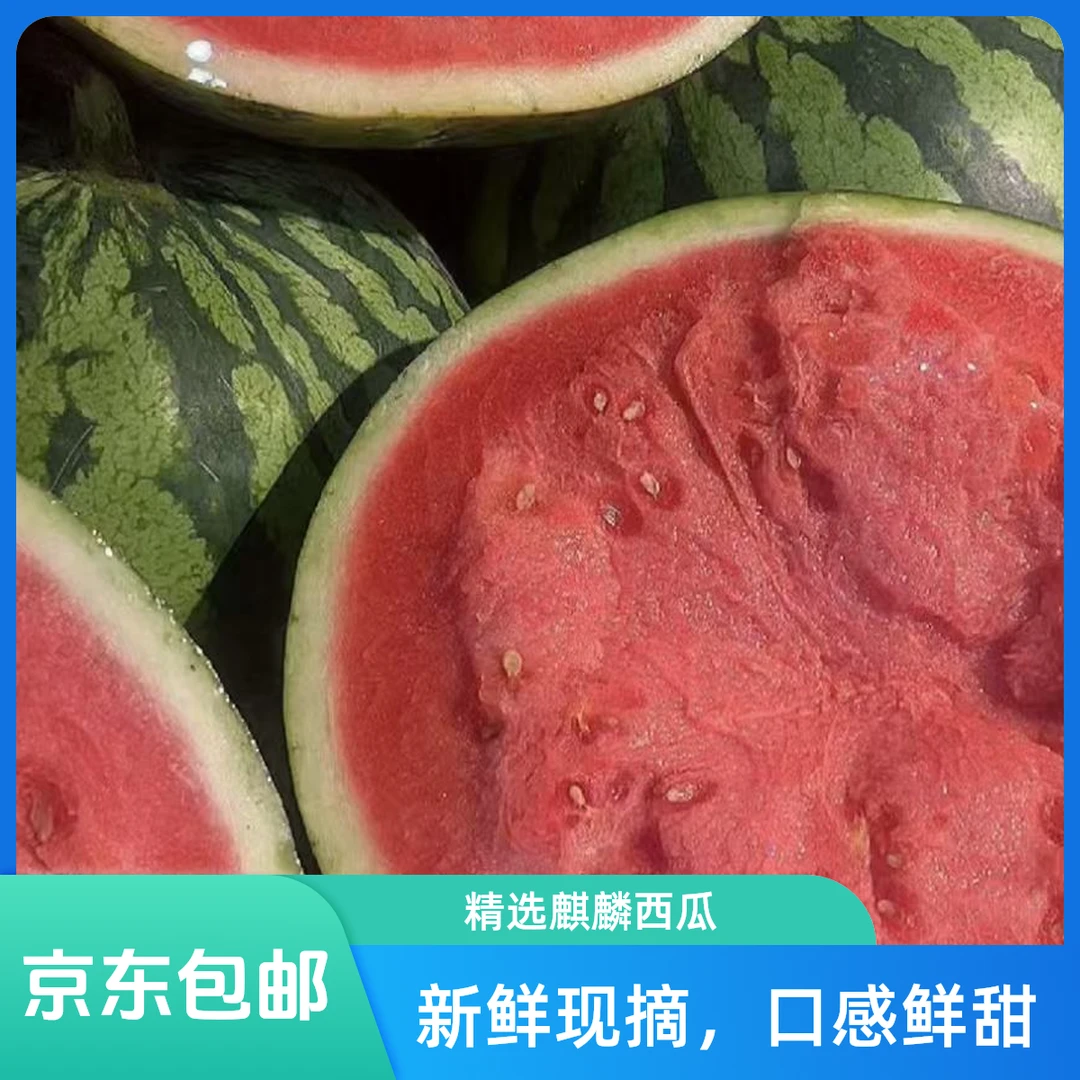 【脆甜巨好吃】麒麟大西瓜新鲜无籽好吃产地直采
