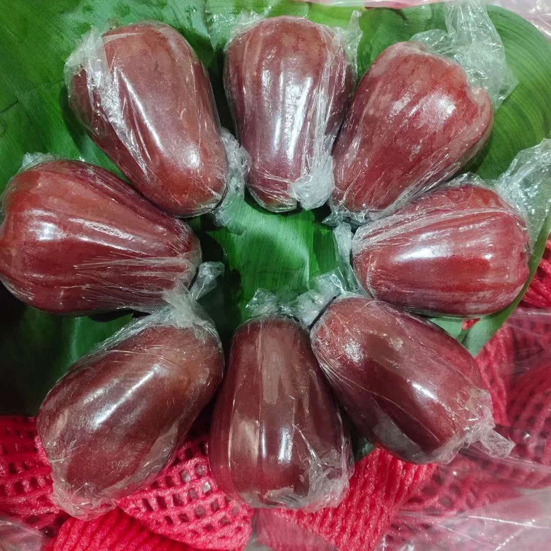 泰国黑金刚莲雾现货清甜汁水足孕妇新鲜水果清脆