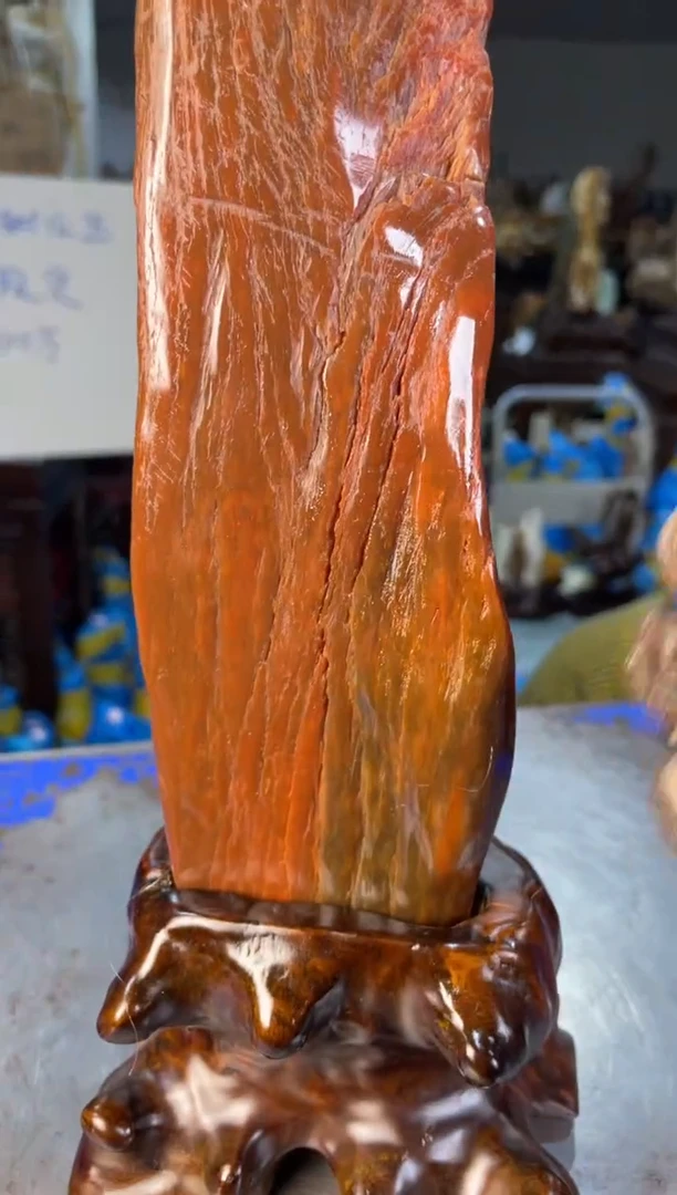 未镶嵌摆件硅化玉54