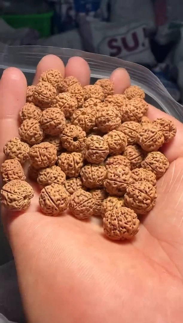 手串金刚菩提非全品天价蜂巢散籽10-11mm一份一百颗