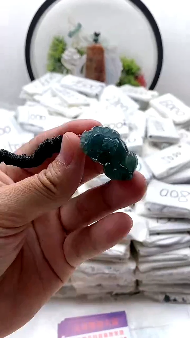 翡翠未镶嵌颈饰貔貅z