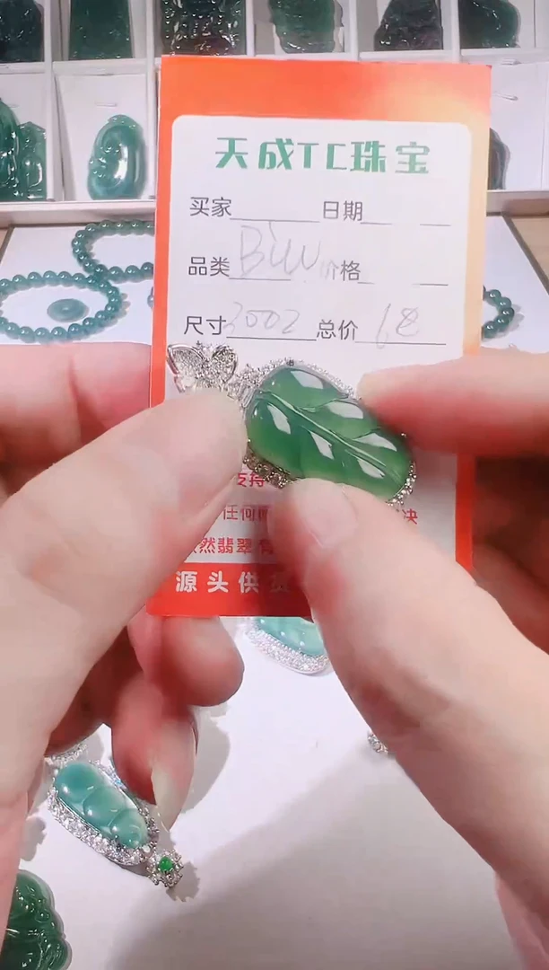 颈饰未镶嵌翡翠天然A货翡翠挂件