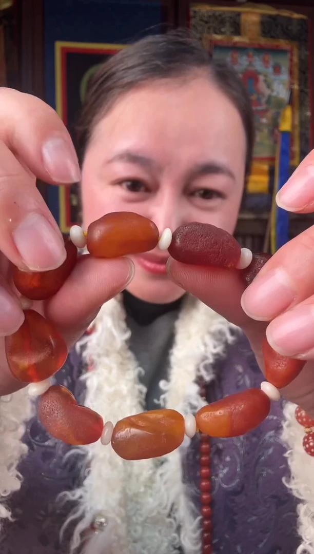 无非金属藏地辣古串