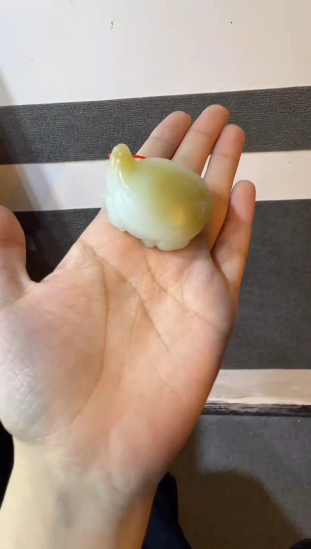 吊坠(赠链)未镶嵌和田玉金山糖白龙龟挂件（产地直发）