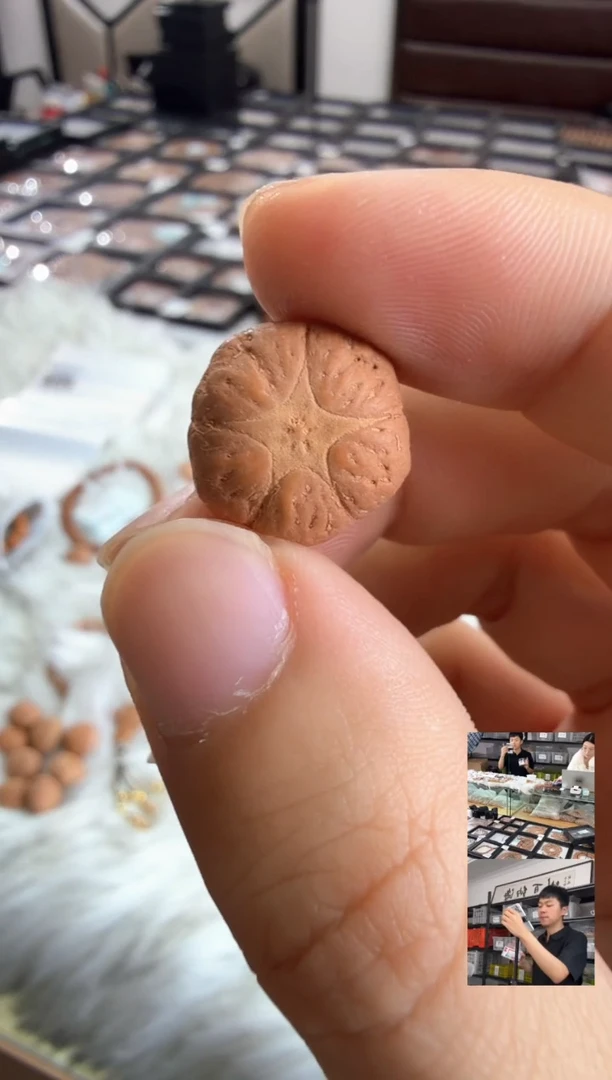 吊坠凤眼菩提4074顶珠