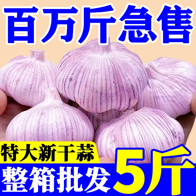 【助农产品】2025年新蒜干大蒜紫皮大蒜多瓣蒜头整箱批发