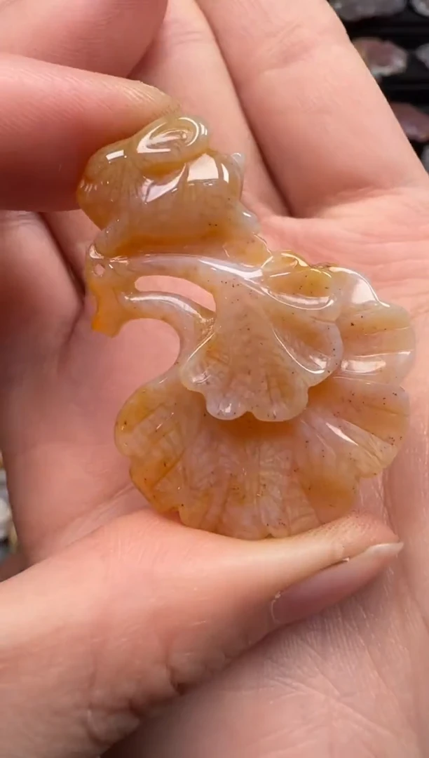 【闪购商品】硅化珊瑚（珊瑚玉）颈饰未镶嵌469