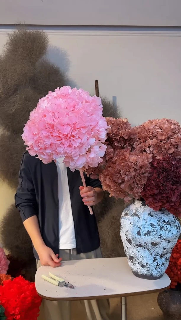 山前小麦 · 永生大叶绣球漂色粉色1枝