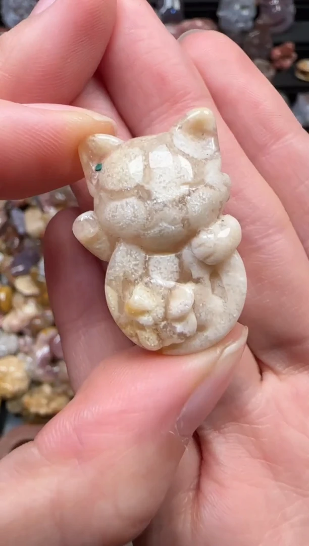 颈饰未镶嵌硅化珊瑚（珊瑚玉）287