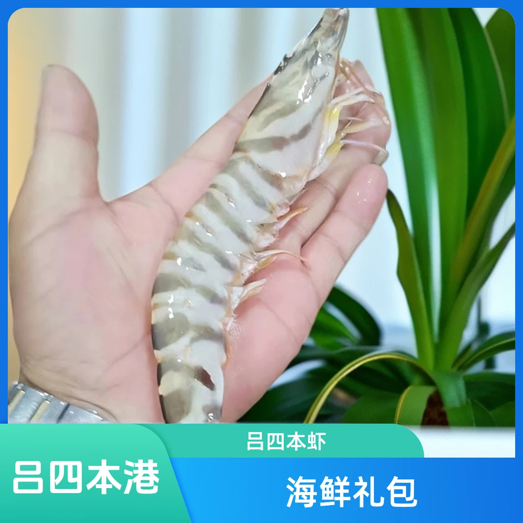 吕四本港海鲜竹节虾大规格生鲜冷冻食用400g一盒