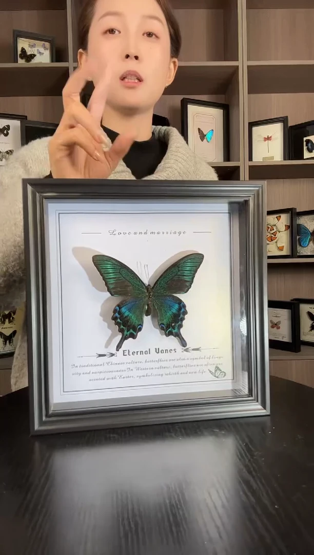 实木竖款绿带翠凤蝶（蝴蝶装饰画8寸框）