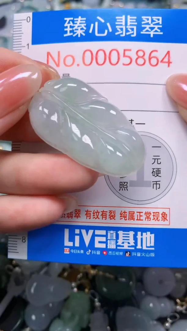 吊坠(不含链)未镶嵌翡翠5864