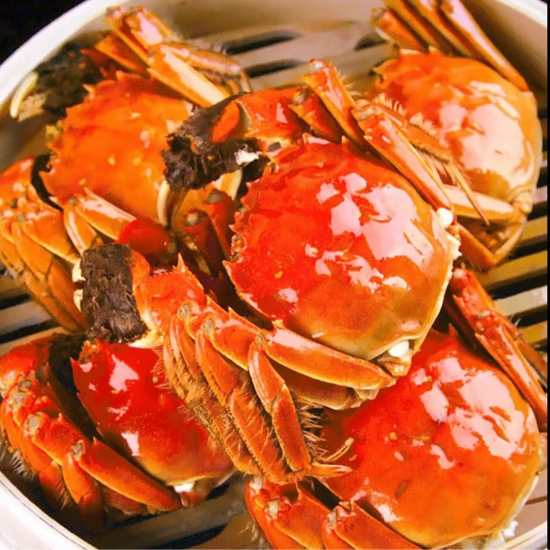 【活蟹】精品大闸蟹母3-3.2两/只10只顺丰包邮礼盒