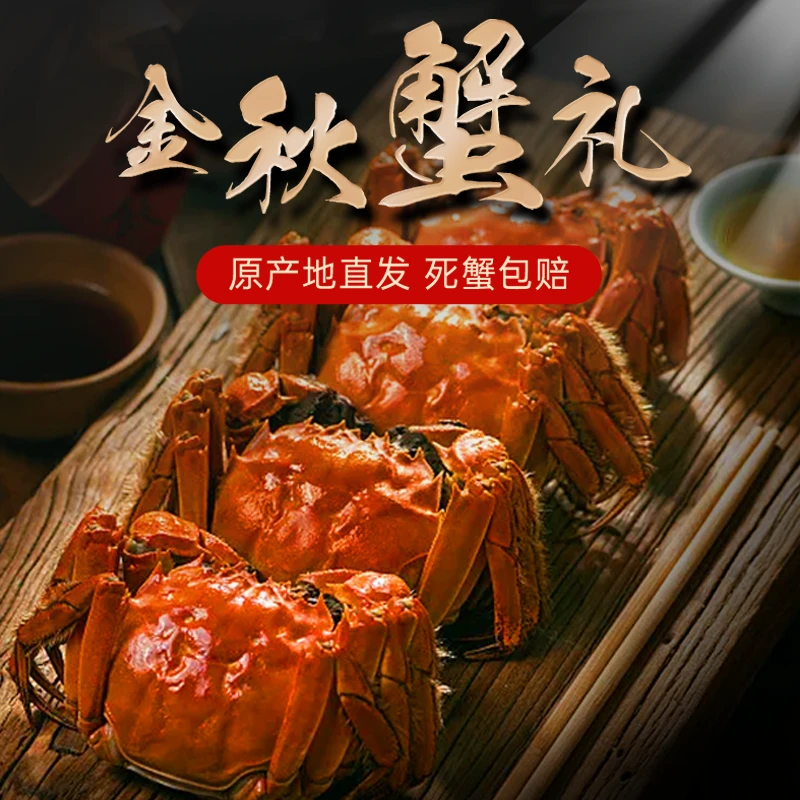 【活蟹现发】鲜活大闸蟹全母2.8-2.5两 买8只送2只到手10只礼盒装