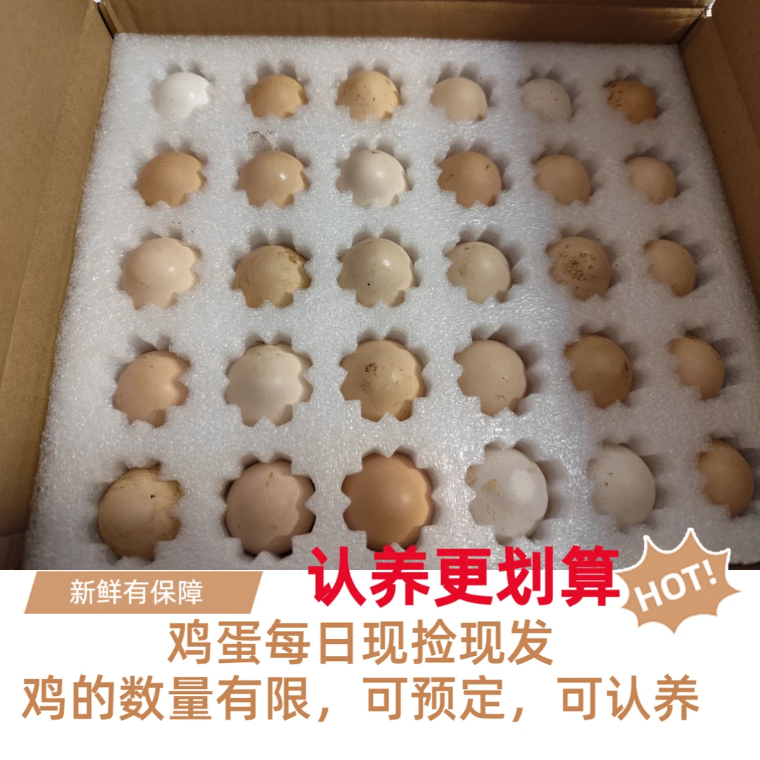 槿麻鸡蛋无抗纯粮喂养