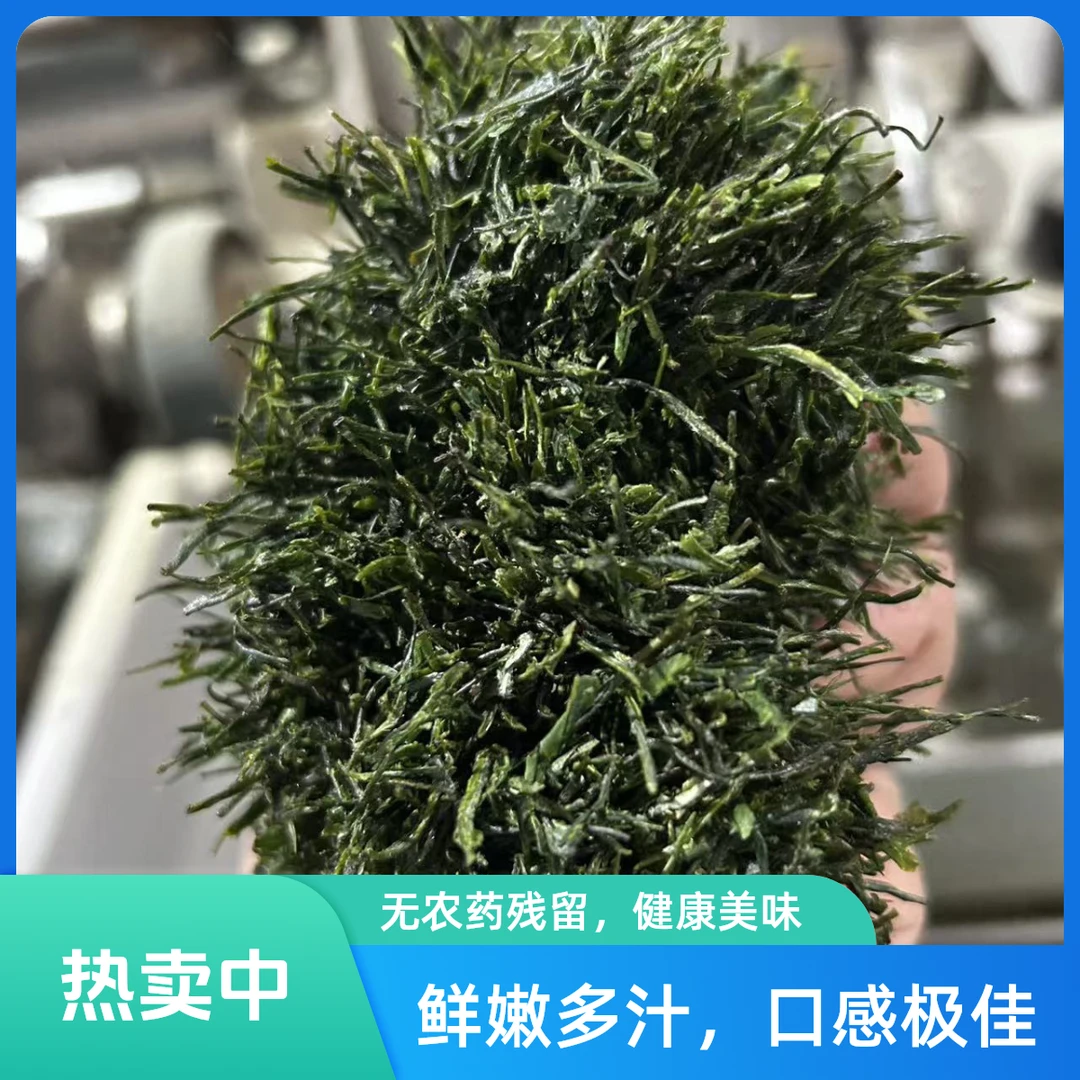 B2正品恩施玉露龙井43新茶蒸青绿茶恩施湖北恩施玉露茶2025新茶