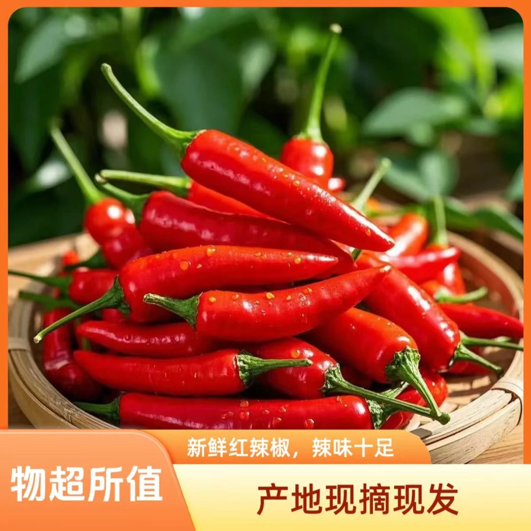 新鲜现摘爆辣小米椒泡椒餐饮朝天椒农家自种小米辣