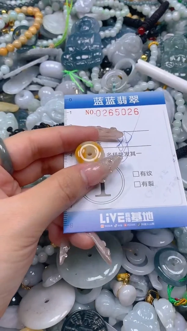 翡翠未镶嵌颈饰闪购0265026
