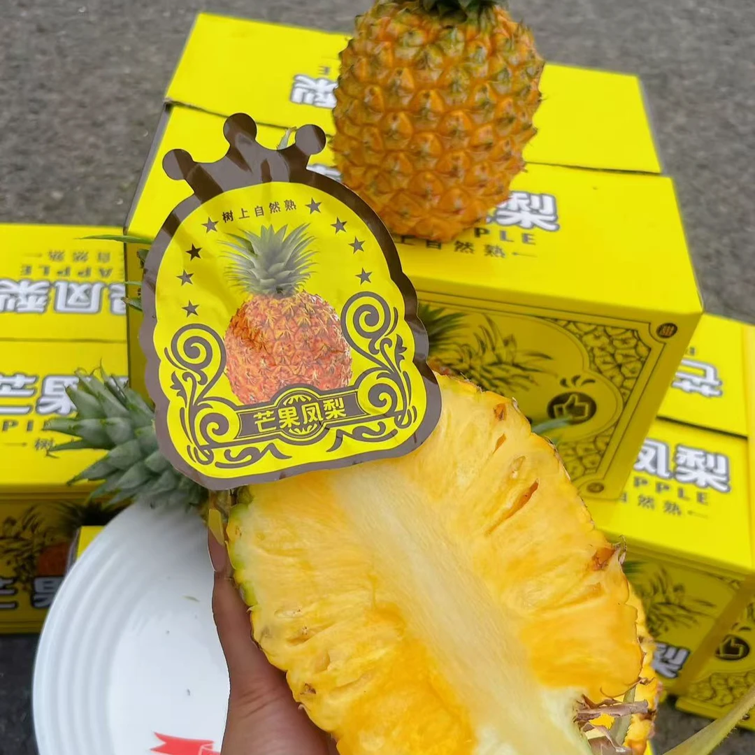 【韩美丽专属】海南树熟芒果凤梨 来自海岛的馈赠 美味多汁 神甜