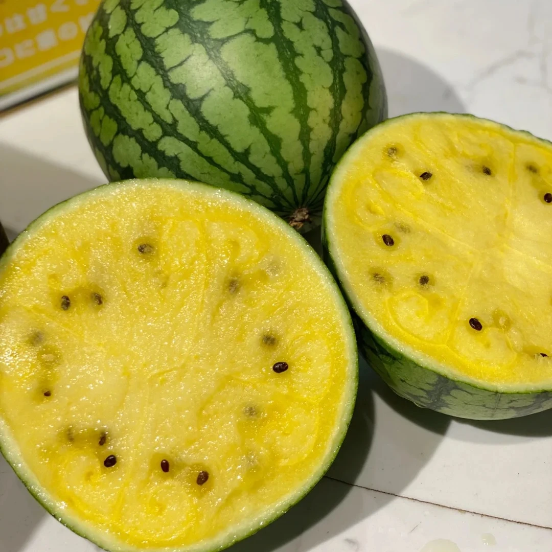 海南冰激凌小凤瓜黄壤西瓜一颗4-6斤左右海南省