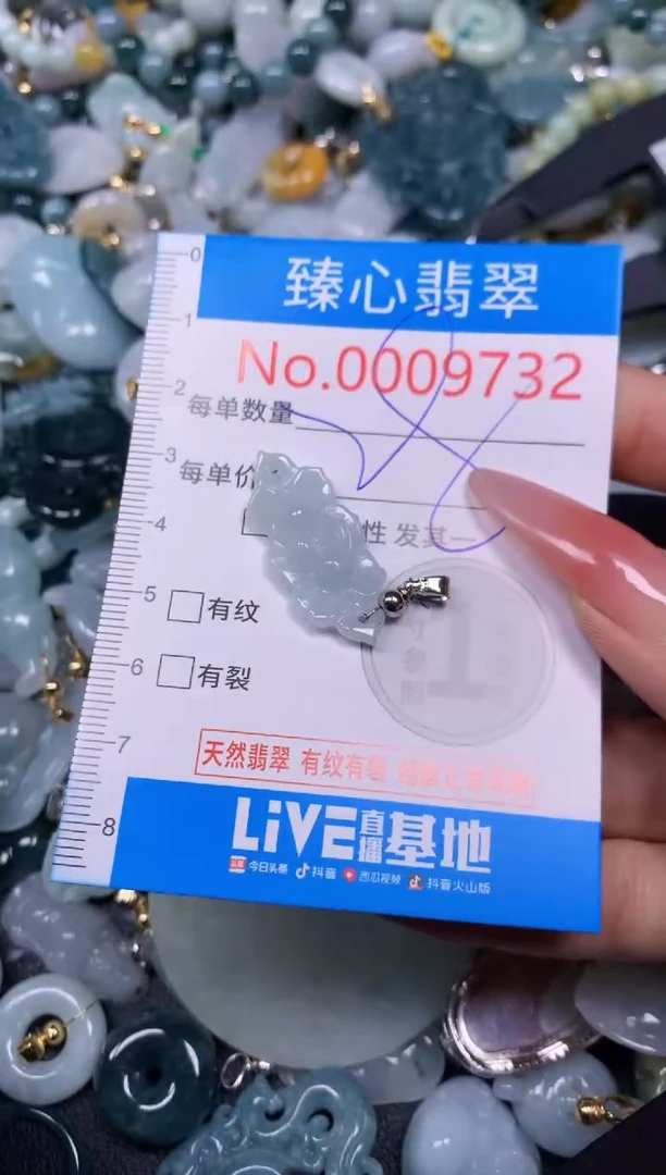 【闪购商品】翡翠颈饰未镶嵌含绳0009732