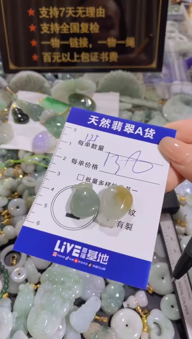 翡翠未镶嵌颈饰꧁***꧂天然翡翠A货批量多样性发一件