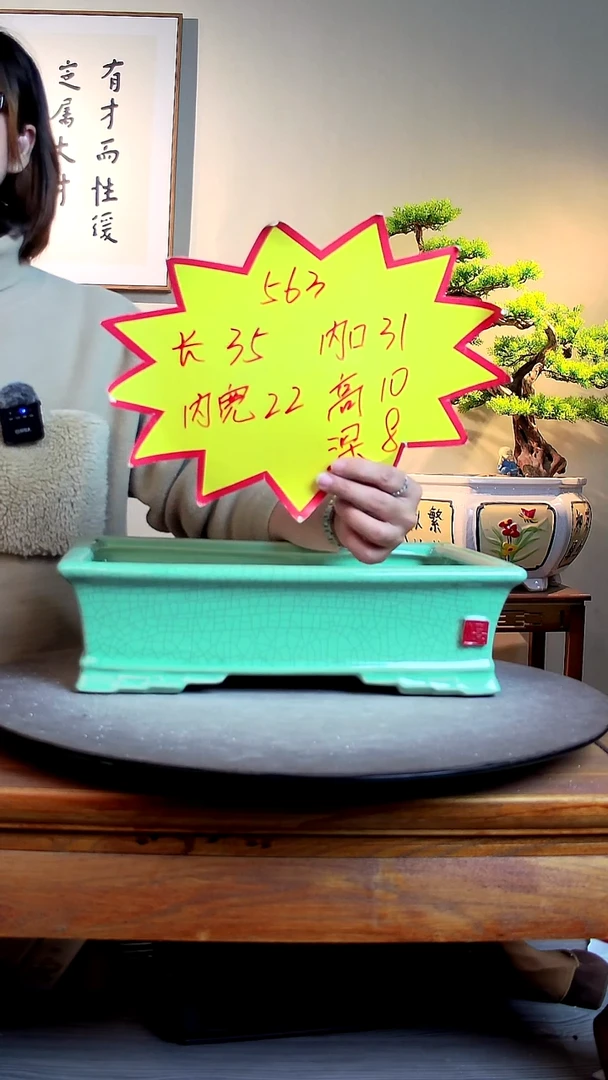 563青0000000000000000