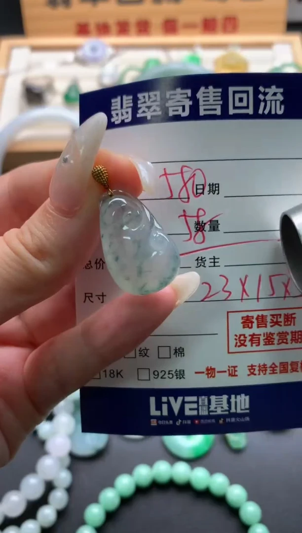 翡翠18K金镶嵌颈饰10138502