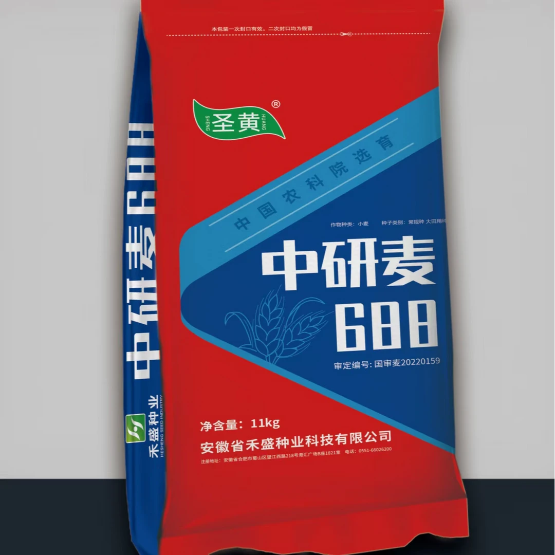 高产小麦种子中研麦688（11KG）