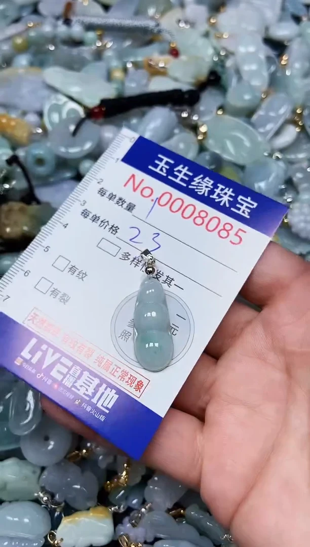 【闪购商品】翡翠颈饰未镶嵌闪购00008085