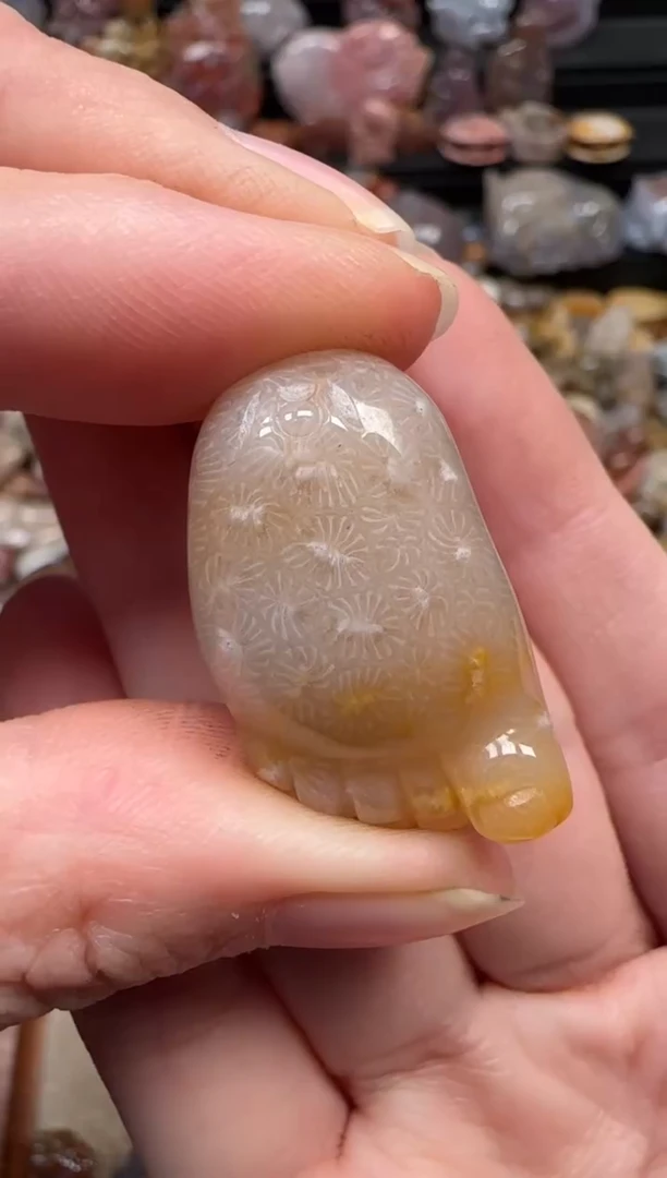 颈饰未镶嵌硅化珊瑚（珊瑚玉）160