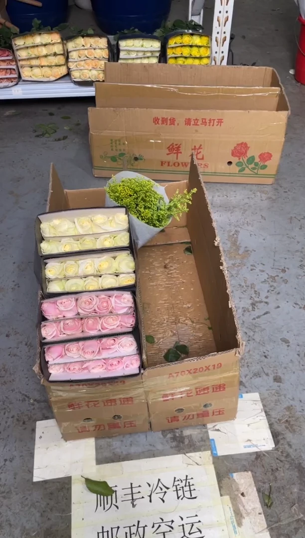 粉红3扎+白雪山3扎+黄莺